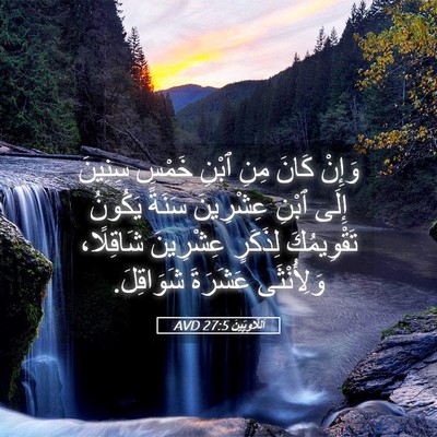 Picture 05 - اَللَّاوِيِّينَ 27:5 AVD - وَإِنْ كَانَ مِنِ ٱبْنِ - Bible Verse Picture