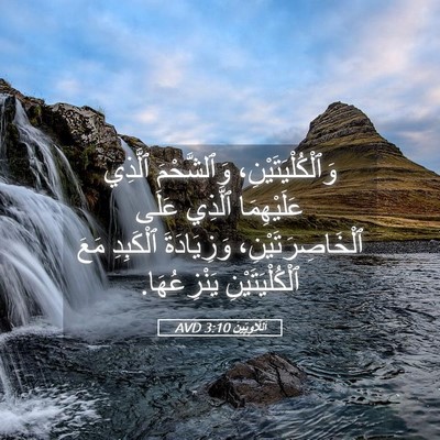 Picture 05 - اَللَّاوِيِّينَ 3:10 AVD - وَٱلْكُلْيَتَيْنِ، - Bible Verse Picture