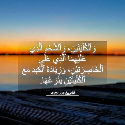 Picture 05 - اَللَّاوِيِّينَ 3:4 AVD - وَٱلْكُلْيَتَيْنِ، - Bible Verse Picture