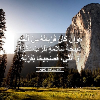 Picture 05 - اَللَّاوِيِّينَ 3:6 AVD - «وَإِنْ كَانَ قُرْبَانُهُ - Bible Verse Picture