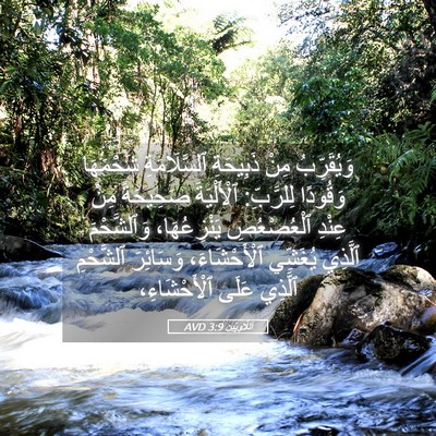 Picture 05 - اَللَّاوِيِّينَ 3:9 AVD - وَيُقَرِّبُ مِنْ - Bible Verse Picture