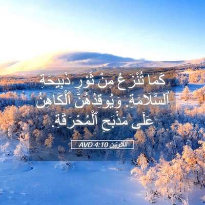 Picture 05 - اَللَّاوِيِّينَ 4:10 AVD - كَمَا تُنْزَعُ مِنْ ثَوْرِ - Bible Verse Picture