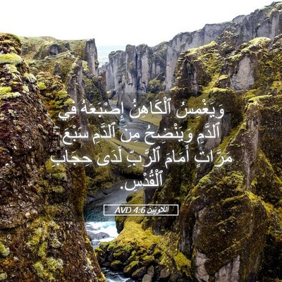 Picture 05 - اَللَّاوِيِّينَ 4:6 AVD - وَيَغْمِسُ ٱلْكَاهِنُ - Bible Verse Picture