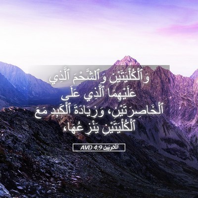 Picture 05 - اَللَّاوِيِّينَ 4:9 AVD - وَٱلْكُلْيَتَيْنِ - Bible Verse Picture