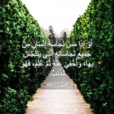 Picture 05 - اَللَّاوِيِّينَ 5:3 AVD - أَوْ إِذَا مَسَّ نَجَاسَةَ - Bible Verse Picture