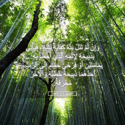 Picture 05 - اَللَّاوِيِّينَ 5:7 AVD - وَإِنْ لَمْ تَنَلْ يَدُهُ - Bible Verse Picture