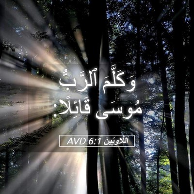 Picture 05 - اَللَّاوِيِّينَ 6:1 AVD - وَكَلَّمَ ٱلرَّبُّ مُوسَى - Bible Verse Picture