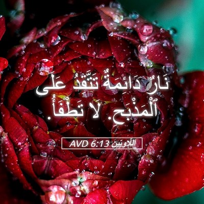 Picture 05 - اَللَّاوِيِّينَ 6:13 AVD - نَارٌ دَائِمَةٌ تَتَّقِدُ - Bible Verse Picture