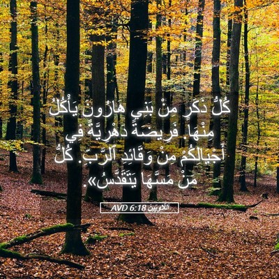 Picture 05 - اَللَّاوِيِّينَ 6:18 AVD - كُلُّ ذَكَرٍ مِنْ بَنِي - Bible Verse Picture