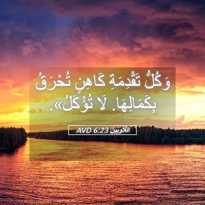Picture 05 - اَللَّاوِيِّينَ 6:23 AVD - وَكُلُّ تَقْدِمَةِ - Bible Verse Picture