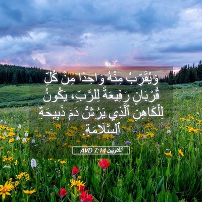 Picture 05 - اَللَّاوِيِّينَ 7:14 AVD - وَيُقَرِّبُ مِنْهُ - Bible Verse Picture