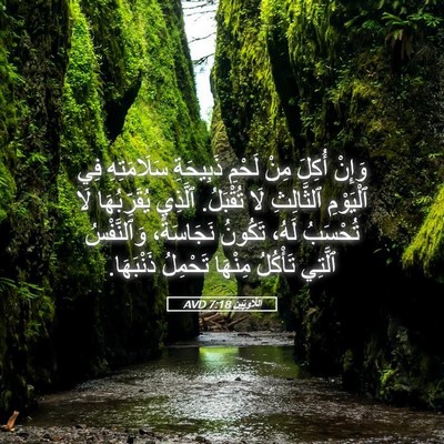 Picture 05 - اَللَّاوِيِّينَ 7:18 AVD - وَإِنْ أُكِلَ مِنْ لَحْمِ - Bible Verse Picture