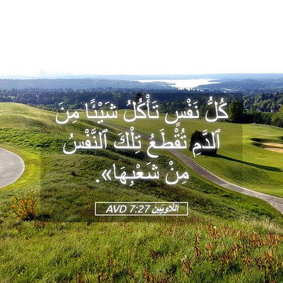 Picture 05 - اَللَّاوِيِّينَ 7:27 AVD - كُلُّ نَفْسٍ تَأْكُلُ - Bible Verse Picture