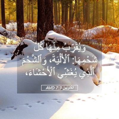 Picture 05 - اَللَّاوِيِّينَ 7:3 AVD - وَيُقَرِّبُ مِنْهَا كُلَّ - Bible Verse Picture
