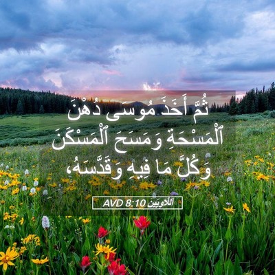 Picture 05 - اَللَّاوِيِّينَ 8:10 AVD - ثُمَّ أَخَذَ مُوسَى دُهْنَ - Bible Verse Picture