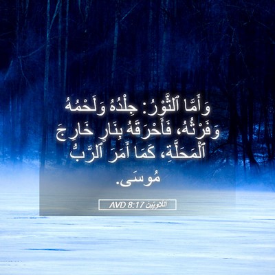 Picture 05 - اَللَّاوِيِّينَ 8:17 AVD - وَأَمَّا ٱلثَّوْرُ: - Bible Verse Picture