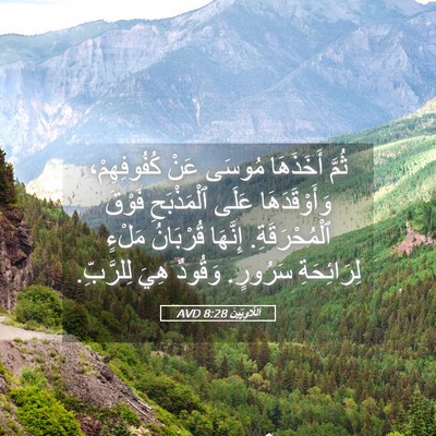 Picture 05 - اَللَّاوِيِّينَ 8:28 AVD - ثُمَّ أَخَذَهَا مُوسَى - Bible Verse Picture