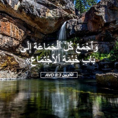 Picture 05 - اَللَّاوِيِّينَ 8:3 AVD - وَٱجْمَعْ كُلَّ - Bible Verse Picture