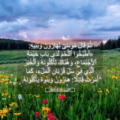 Picture 05 - اَللَّاوِيِّينَ 8:31 AVD - ثُمَّ قَالَ مُوسَى - Bible Verse Picture