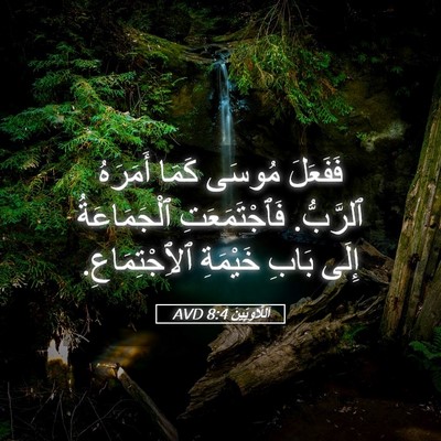 Picture 05 - اَللَّاوِيِّينَ 8:4 AVD - فَفَعَلَ مُوسَى كَمَا - Bible Verse Picture