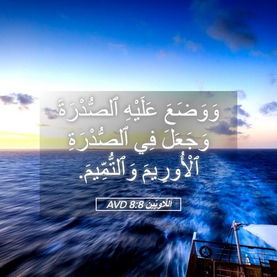 Picture 05 - اَللَّاوِيِّينَ 8:8 AVD - وَوَضَعَ عَلَيْهِ - Bible Verse Picture