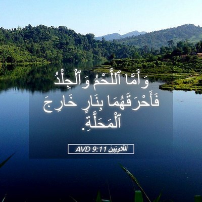 Picture 05 - اَللَّاوِيِّينَ 9:11 AVD - وَأَمَّا ٱللَّحْمُ - Bible Verse Picture
