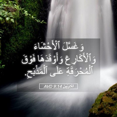 Picture 05 - اَللَّاوِيِّينَ 9:14 AVD - وَغَسَّلَ ٱلْأَحْشَاءَ - Bible Verse Picture