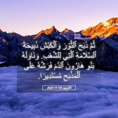 Picture 05 - اَللَّاوِيِّينَ 9:18 AVD - ثُمَّ ذَبَحَ ٱلثَّوْرَ - Bible Verse Picture