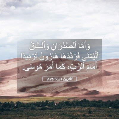 Picture 05 - اَللَّاوِيِّينَ 9:21 AVD - وَأَمَّا ٱلصَّدْرَانِ - Bible Verse Picture