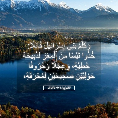 Picture 05 - اَللَّاوِيِّينَ 9:3 AVD - وَكَلِّمْ بَنِي - Bible Verse Picture