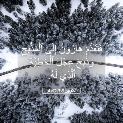 Picture 05 - اَللَّاوِيِّينَ 9:8 AVD - فَتَقَدَّمَ هَارُونُ - Bible Verse Picture