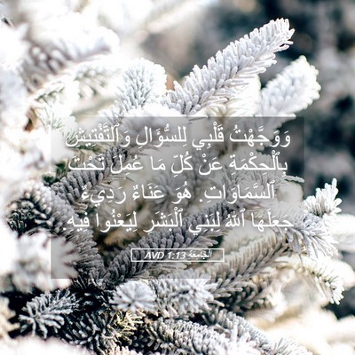 Picture 05 - اَلْجَامِعَةِ 1:13 AVD - وَوَجَّهْتُ قَلْبِي - Bible Verse Picture