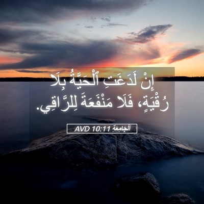 Picture 05 - اَلْجَامِعَةِ 10:11 AVD - إِنْ لَدَغَتِ ٱلْحَيَّةُ - Bible Verse Picture
