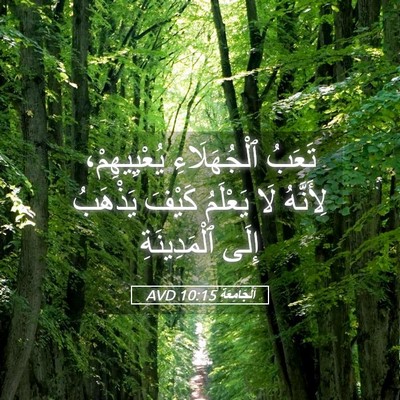 Picture 05 - اَلْجَامِعَةِ 10:15 AVD - تَعَبُ ٱلْجُهَلَاءِ - Bible Verse Picture