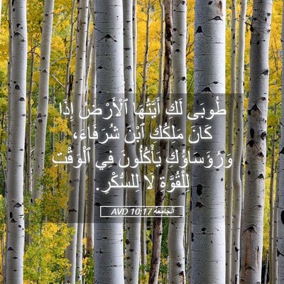 Picture 05 - اَلْجَامِعَةِ 10:17 AVD - طُوبَى لَكِ أَيَّتُهَا - Bible Verse Picture
