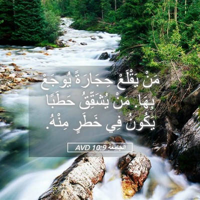 Picture 05 - اَلْجَامِعَةِ 10:9 AVD - مَنْ يَقْلَعْ حِجَارَةً - Bible Verse Picture