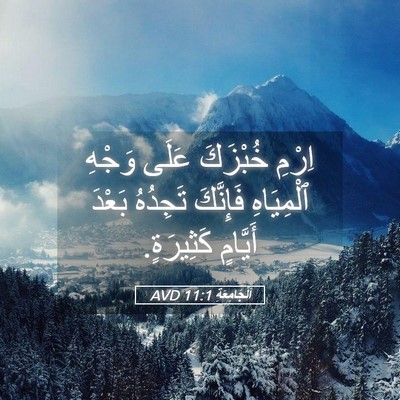 Picture 05 - اَلْجَامِعَةِ 11:1 AVD - اِرْمِ خُبْزَكَ عَلَى - Bible Verse Picture