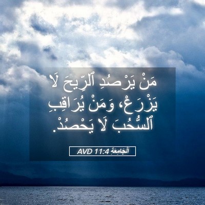 Picture 05 - اَلْجَامِعَةِ 11:4 AVD - مَنْ يَرْصُدِ ٱلرِّيحَ لَا - Bible Verse Picture