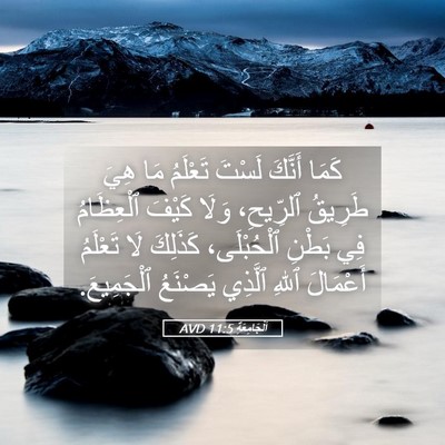 Picture 05 - اَلْجَامِعَةِ 11:5 AVD - كَمَا أَنَّكَ لَسْتَ - Bible Verse Picture