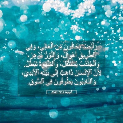 Picture 05 - اَلْجَامِعَةِ 12:5 AVD - وَأَيْضًا يَخَافُونَ مِنَ - Bible Verse Picture