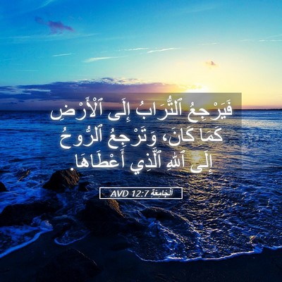 Picture 05 - اَلْجَامِعَةِ 12:7 AVD - فَيَرْجِعُ ٱلتُّرَابُ - Bible Verse Picture
