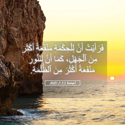 Picture 05 - اَلْجَامِعَةِ 2:13 AVD - فَرَأَيْتُ أَنَّ - Bible Verse Picture