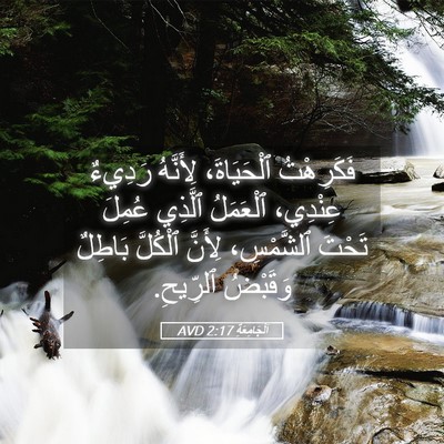 Picture 05 - اَلْجَامِعَةِ 2:17 AVD - فَكَرِهْتُ ٱلْحَيَاةَ، - Bible Verse Picture