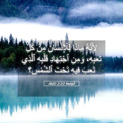 Picture 05 - اَلْجَامِعَةِ 2:22 AVD - لِأَنَّهُ مَاذَا - Bible Verse Picture