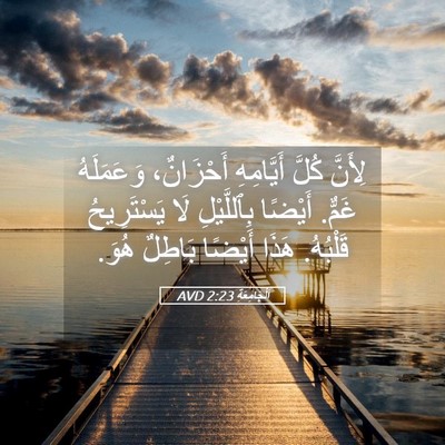 Picture 05 - اَلْجَامِعَةِ 2:23 AVD - لِأَنَّ كُلَّ أَيَّامِهِ - Bible Verse Picture