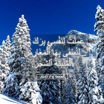 Picture 05 - اَلْجَامِعَةِ 2:6 AVD - عَمِلْتُ لِنَفْسِي بِرَكَ - Bible Verse Picture