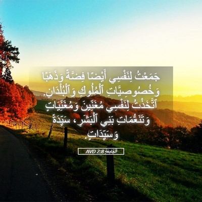 Picture 05 - اَلْجَامِعَةِ 2:8 AVD - جَمَعْتُ لِنَفْسِي - Bible Verse Picture