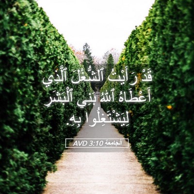 Picture 05 - اَلْجَامِعَةِ 3:10 AVD - قَدْ رَأَيْتُ ٱلشُّغْلَ - Bible Verse Picture