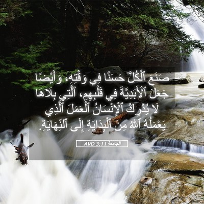 Picture 05 - اَلْجَامِعَةِ 3:11 AVD - صَنَعَ ٱلْكُلَّ حَسَنًا - Bible Verse Picture