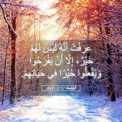 Picture 05 - اَلْجَامِعَةِ 3:12 AVD - عَرَفْتُ أَنَّهُ لَيْسَ - Bible Verse Picture